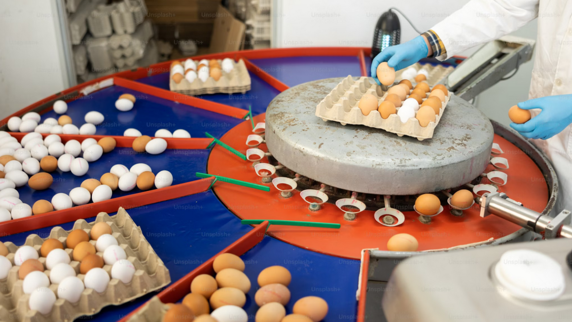 Certainly! Here’s a comprehensive exploration of the history and evolution of popular dishes